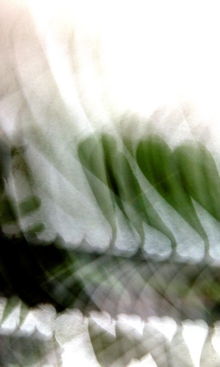 purism II