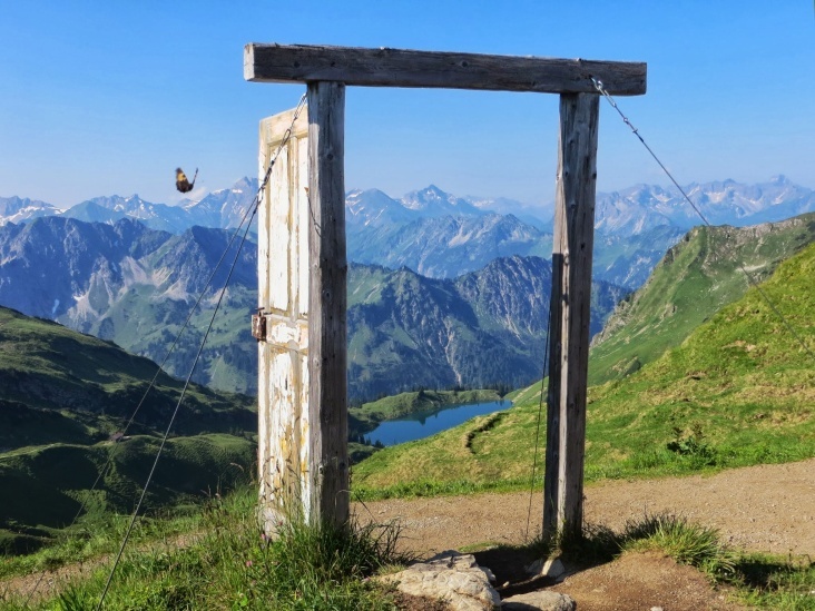 A butterfly over the Alps