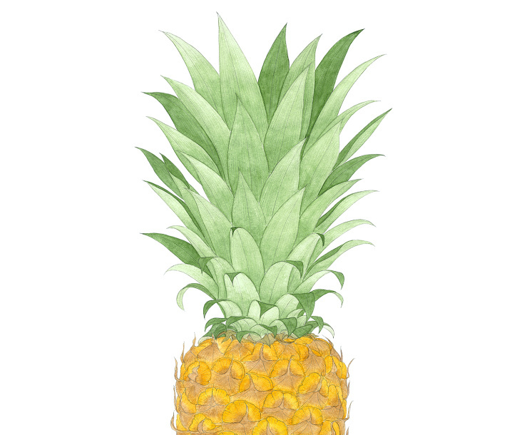 Ananas