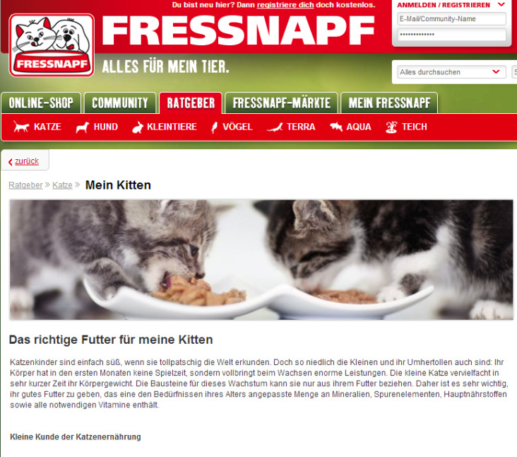 Fressnapf Ratgeber Katze: SEO vorhandener Texte, neue Texte nach SEO-Vorgaben