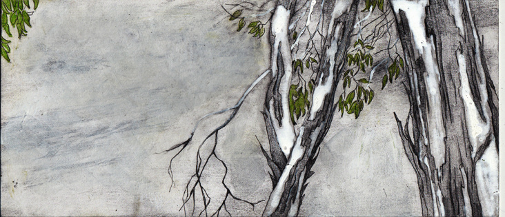 Bushwalk, 2011, Bleistift&Tinte