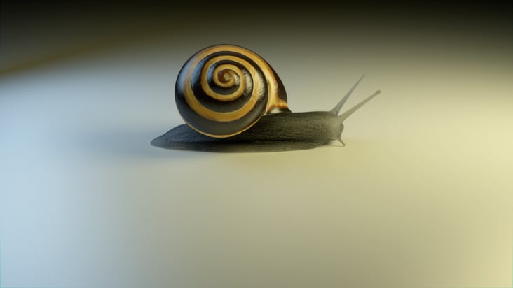 Gemeine Schnecke