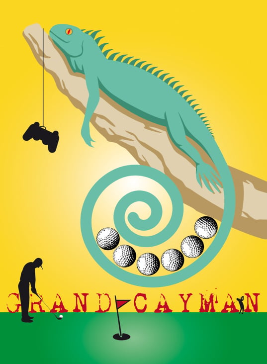 Leguana bewachen den Golfplatz auf den Cayman-Inseln