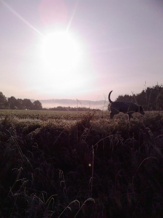 Fotografie – Sonnenaufgang