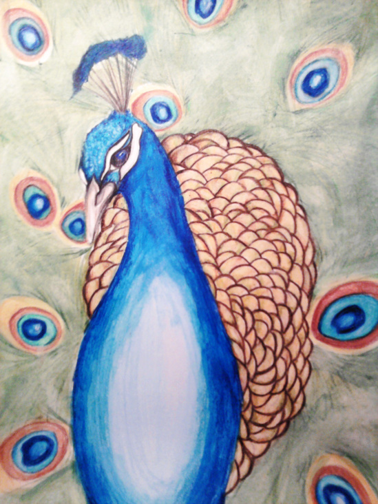 Buntstift – Pfau