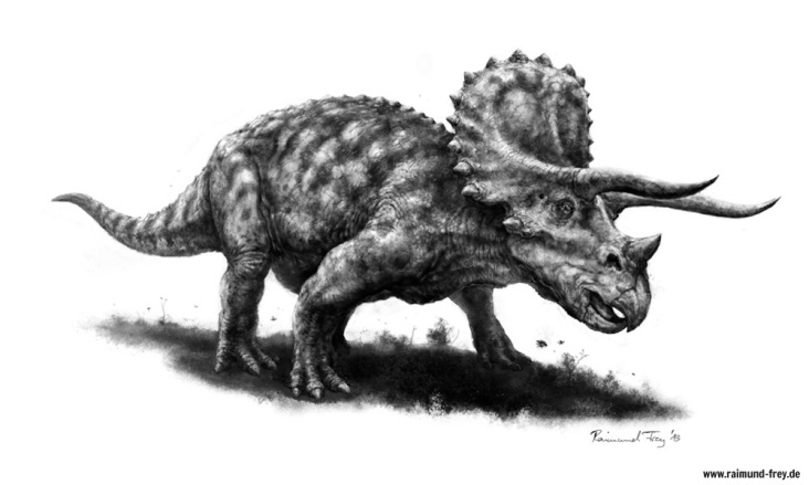 „Triceratops“