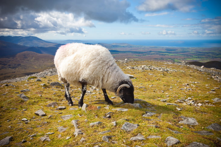 Croagh Patrick