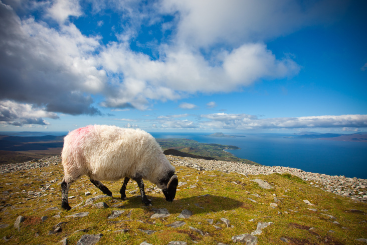 Croagh Patrick