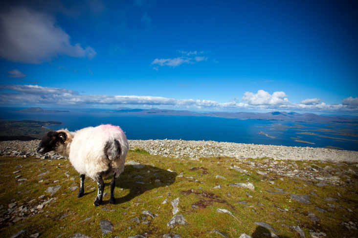 Croagh Patrick