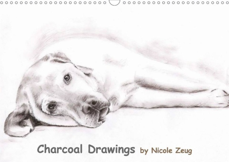 Charcoal Drawings 2014