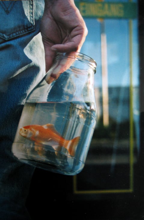 Der kleine Goldfisch hatte keinen Hunger mehr und fühlte sich im Glas sehr sicher und geborgen…