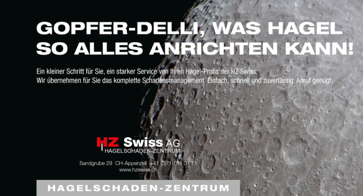 HZ Swiss – Anzeigenwerbung, 210 × 113 mm