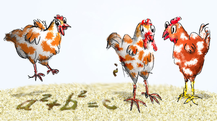 Kluge Hühner – alles relativ 
