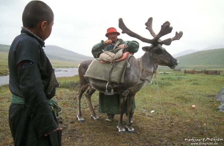 Rentiernomaden im Norden der Mongolei