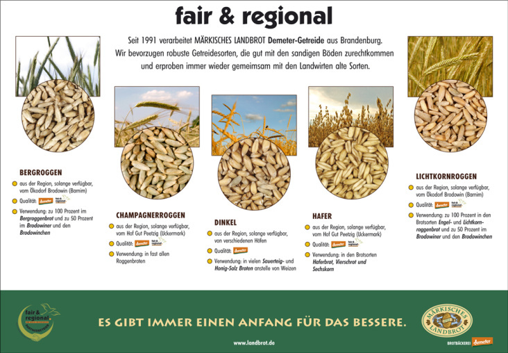 A3 Plakat regionales Getreide