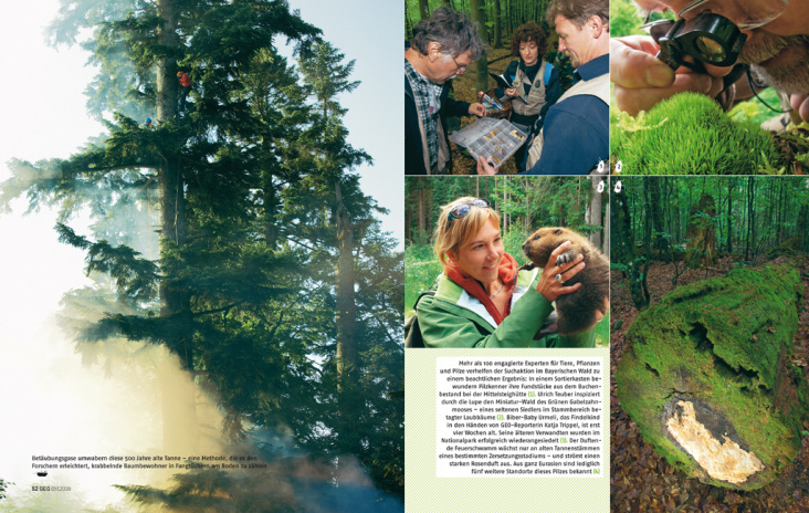 GEO-Tag der Artenvielfalt; Heft 9/2008