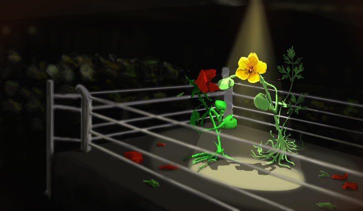 Boxin flowers- Lady of thornes vs. Buttercup