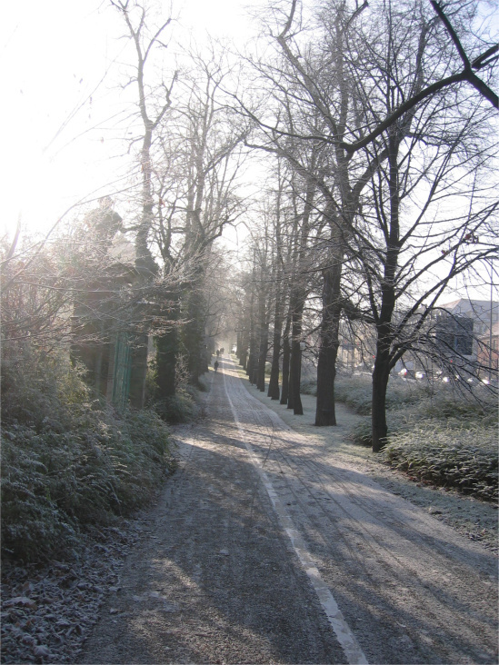 Random Winter Picture in Hamburg