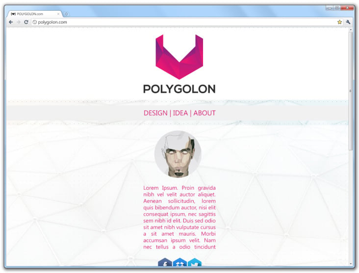 Polygolon Webdesign Vision