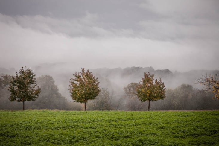 Herbstlandschaft im Nebel