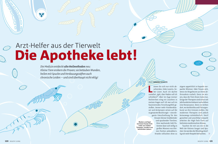 Kleine Helfer, Illustration und Layout für healthy living