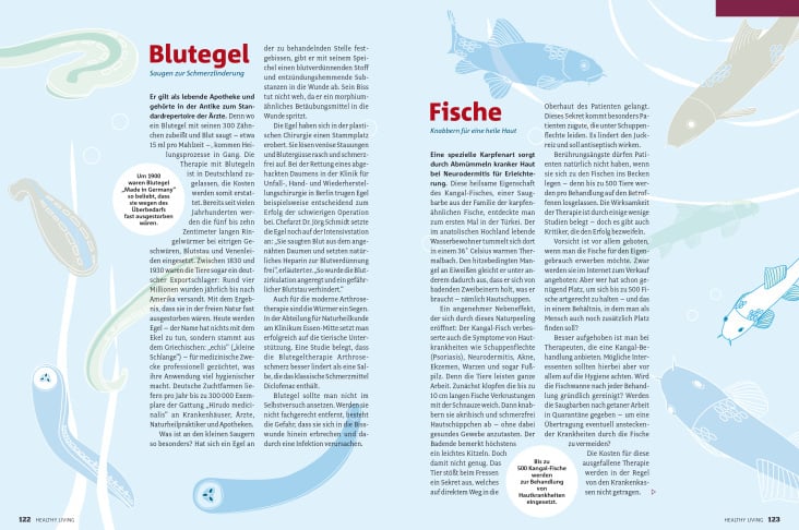 Kleine Helfer, Illustration und Layout für healthy living