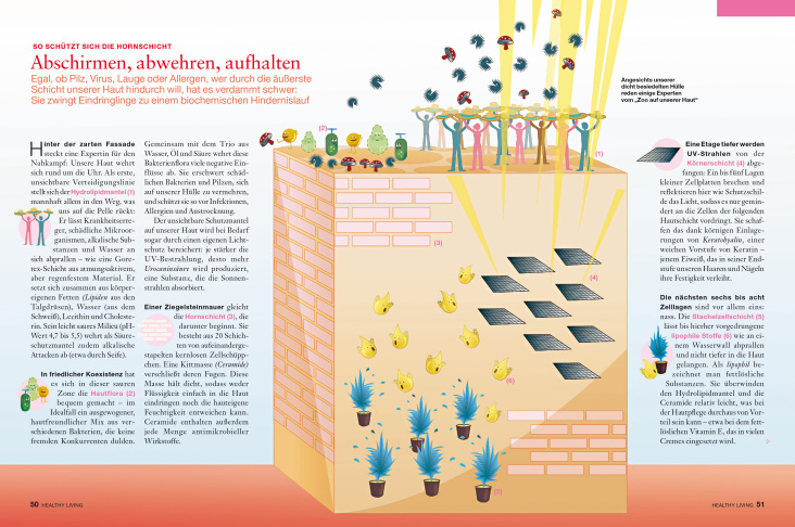 Die Haut, Illustration und Layout für healthy living