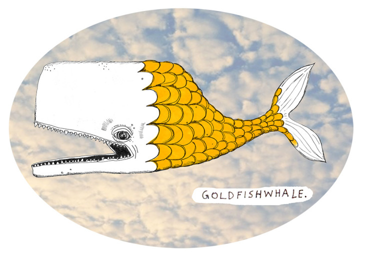 Goldfishwhale