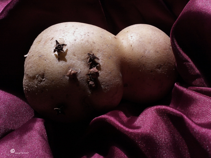 Food Kartoffel Foto Übungen 2014
