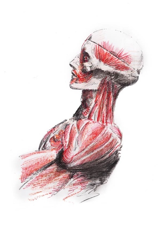 Instant Anatomie