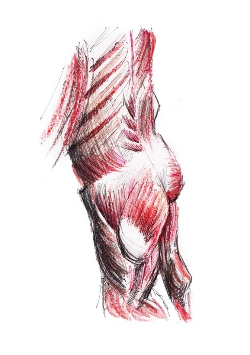 Instant Anatomie