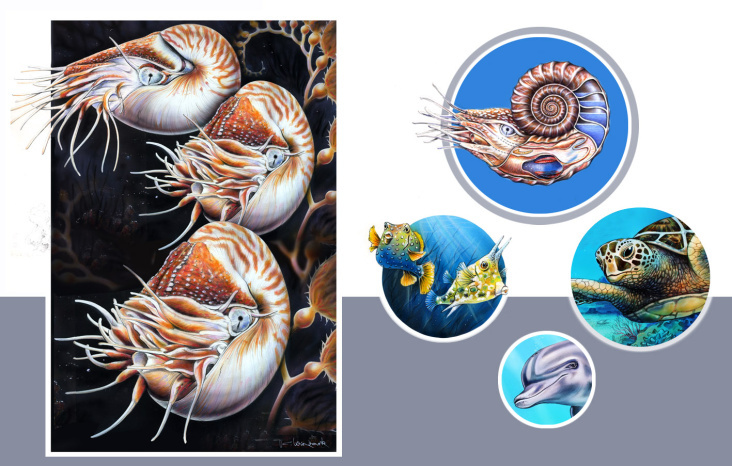 Nautilus, Amonit, Meeresbewohner…