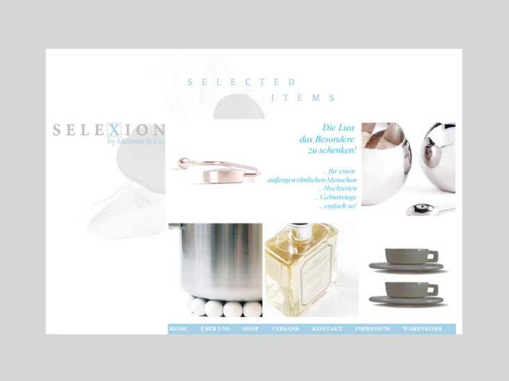 seleXion Online Shop Webdesign