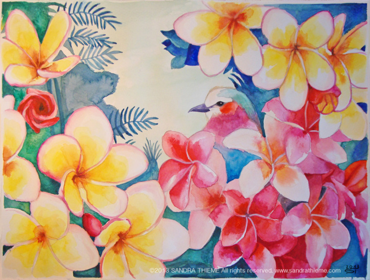 watercolor frangipani