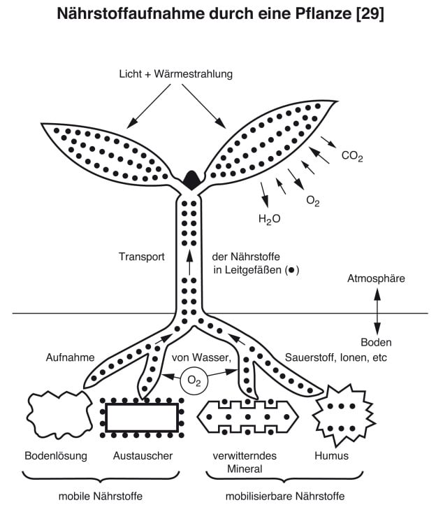 Schaubild Biologie