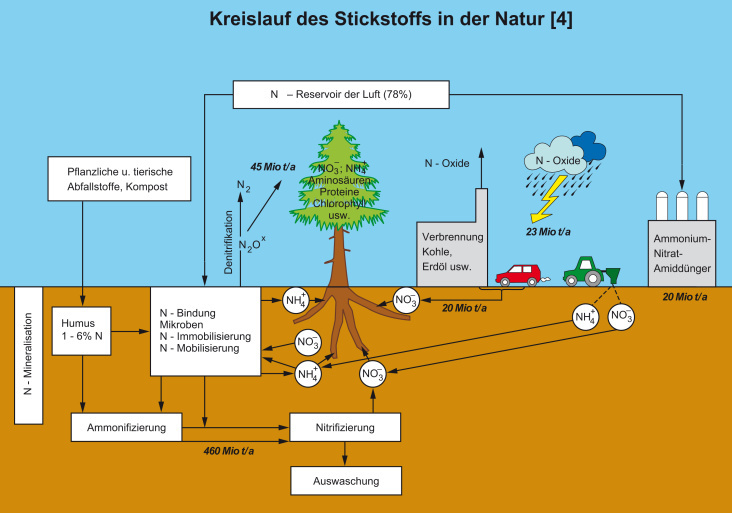 Schaubild Biologie