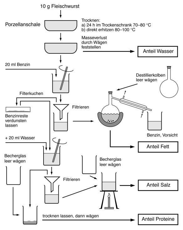 Schaubild Lebensmittelchemie