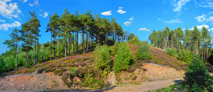 Heidepanorama (Fotomontage aus 38 Einzelaufnahmen, Original im Riesenformat)