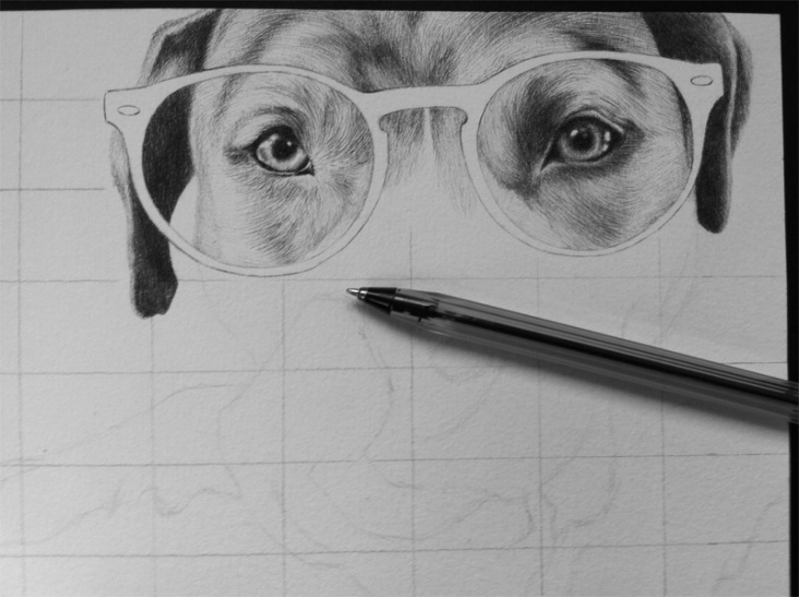 WIP2 — Happy barkday