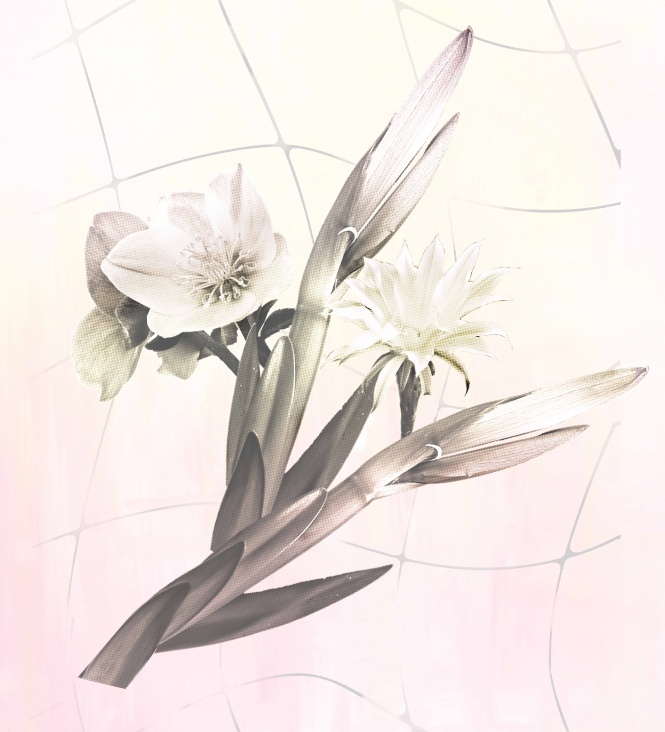 pastel flowers /für LC
