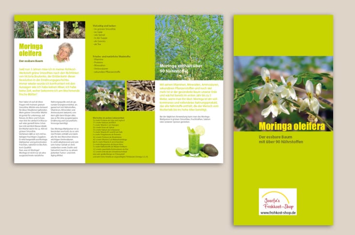 Flyer über Moringa Blattpulver