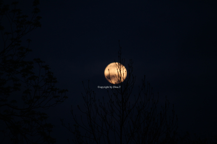 Moon Mai 2014- Foto Übungen..