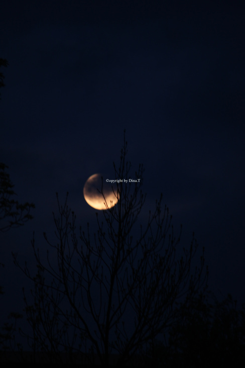 Moon Mai 2014 © by Dina.T