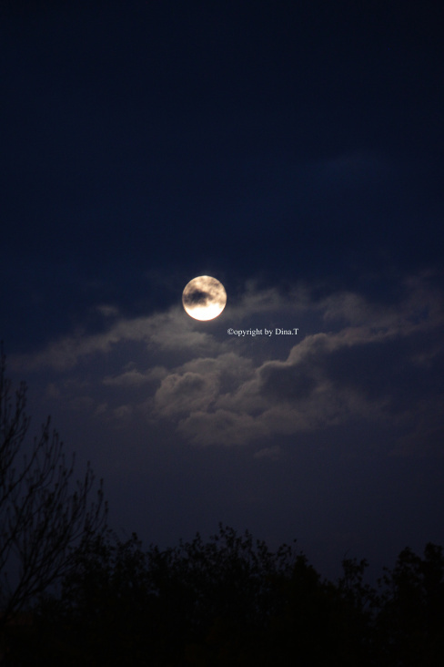 Moon Mai 2014 © by Dina.T