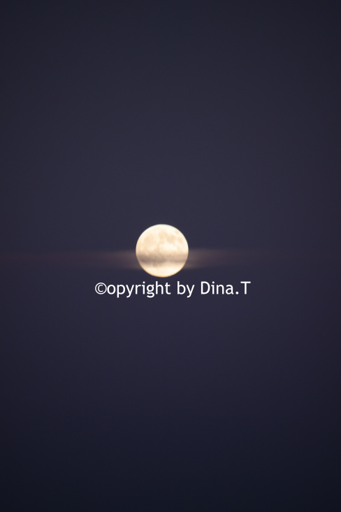 Moon Jun. 2014 © by Dina.T