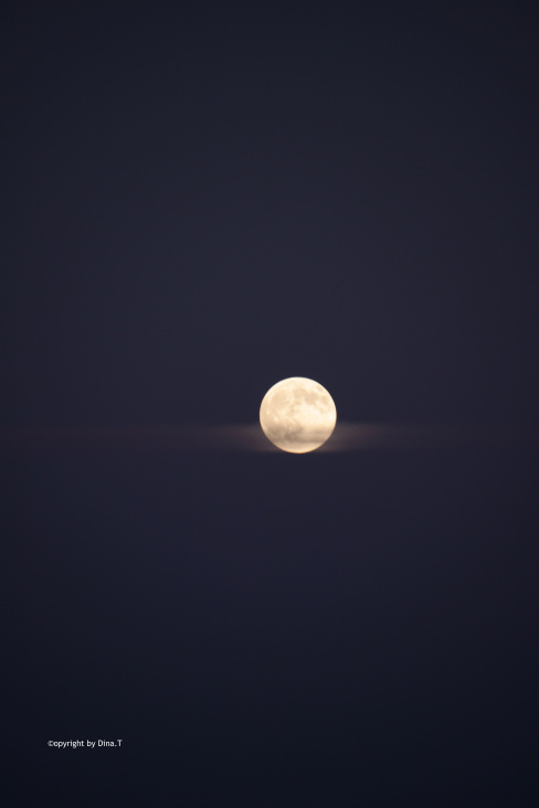 Moon/ Jun. 2014 © by Dina.T