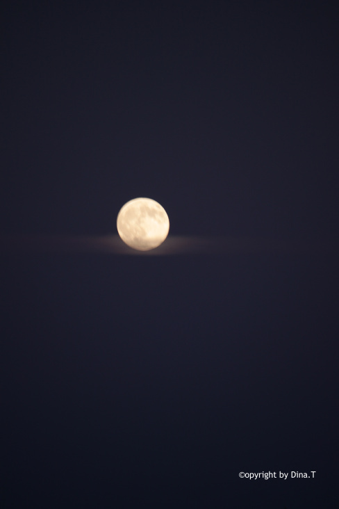 Moon- Jun. 2014 © by Dina.T