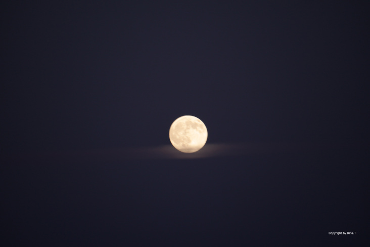 Moon / Jun. 2014 © by Dina.T
