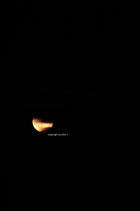 Moon – Jun. 2014 © by Dina.T