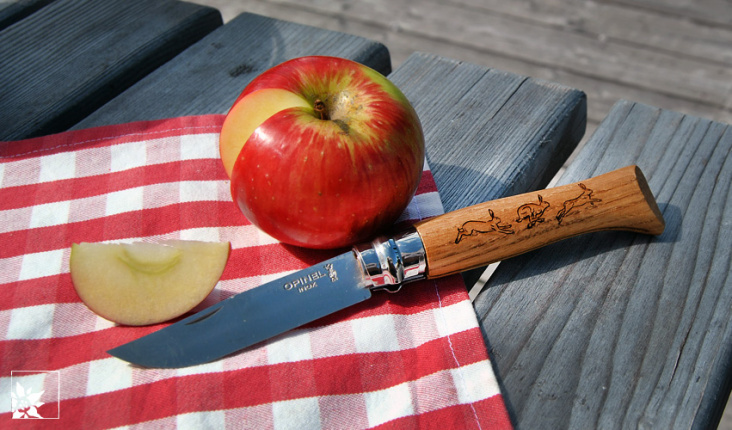 Opinel Taschenmesser: Apfel Vesper auf der Alm